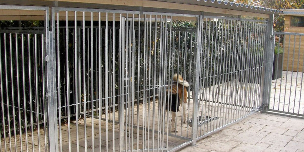 hondenkennel