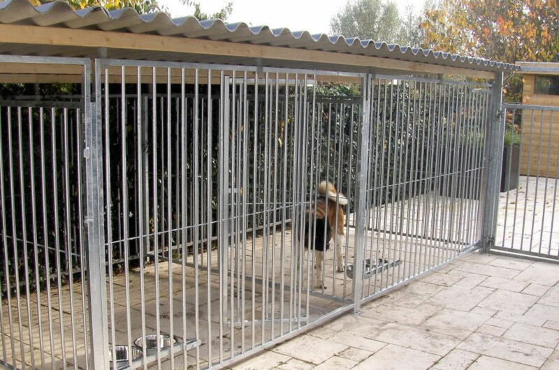 hondenkennel