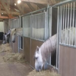 paardenbox met schuifdeur