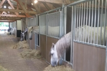 paardenbox met schuifdeur