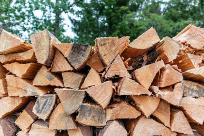 Haardhoutberging voor buiten