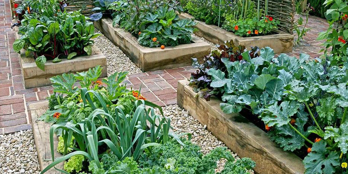 biologisch moestuinieren