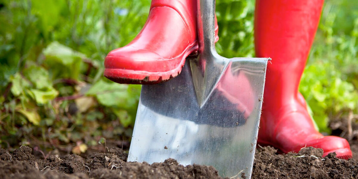Moestuinieren zonder spitten