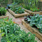 Moestuinieren in de schaduw