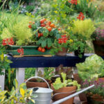 Moestuin op het balkon