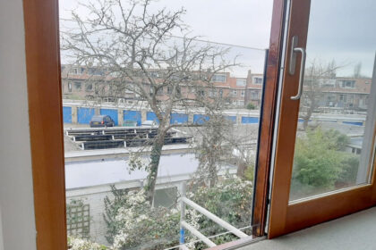 Stalen Frans balkonhek met Glaselementen