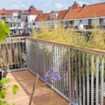 Dakterras bedrijf in zeeland