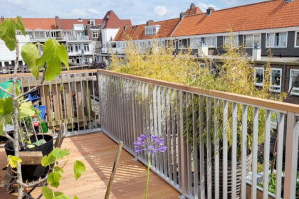 Dakterras bedrijf in zeeland