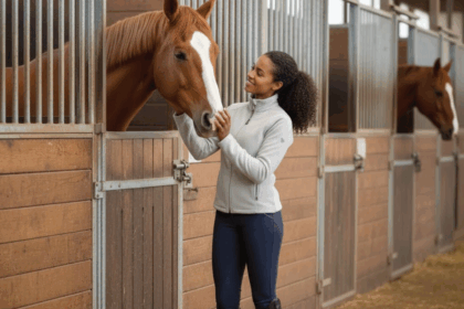 Paardenboxen bestellen