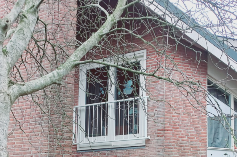 Frans balkonhekwerk Drenthe