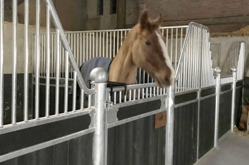 Paardenbox zelf in stal plaatsen