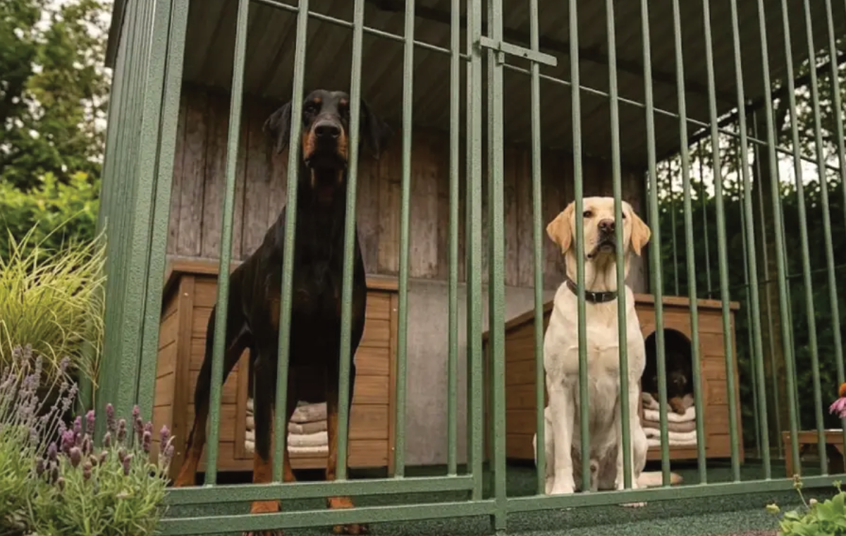 Stalen hondenkennel