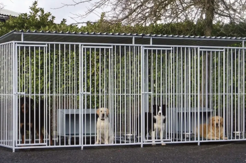 Stalen hondenkennels op maat