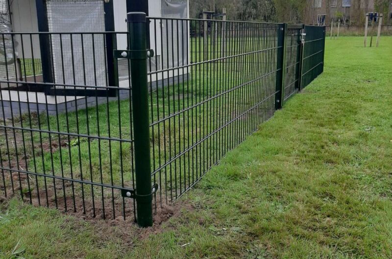 Dubbelstaafmat omheining rond een kippenren