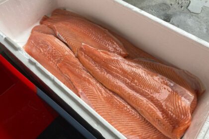 Zalmfilet met zout en suiker voor de pekel